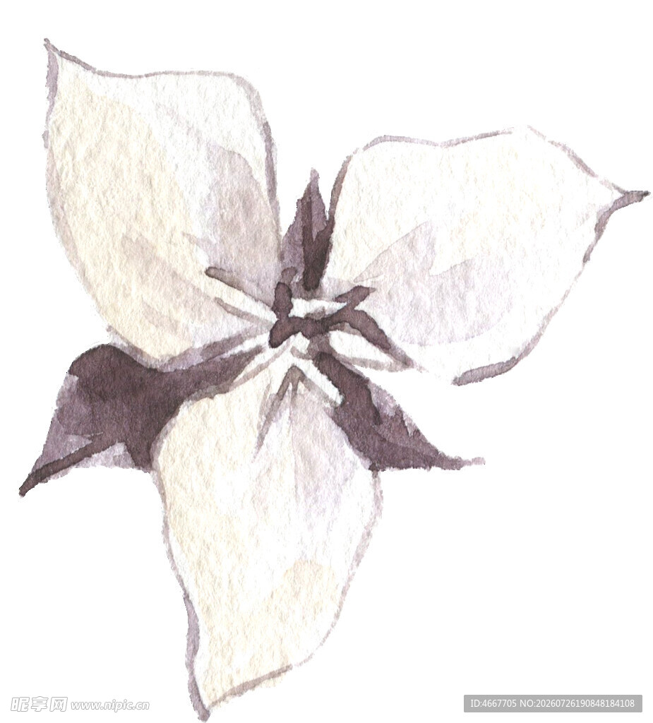 手绘四瓣花朵图案