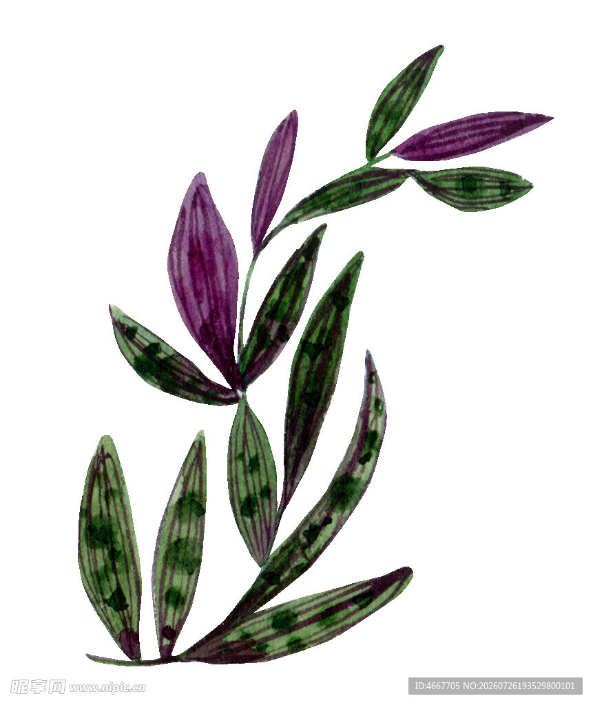 紫色斑纹叶片插画