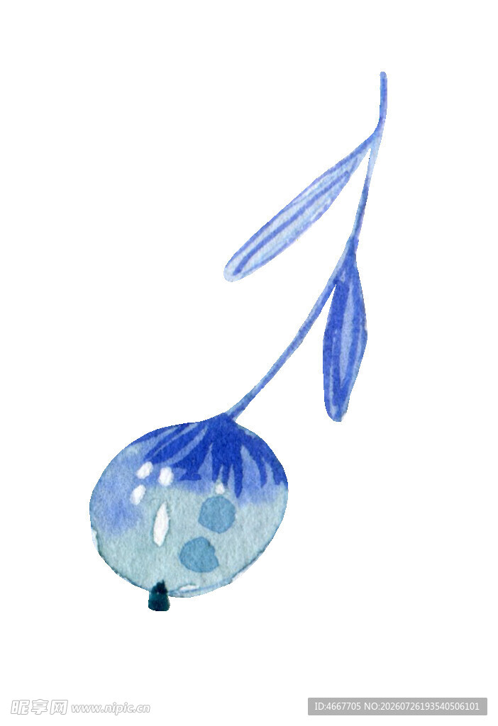 蓝色水彩风小果实插画
