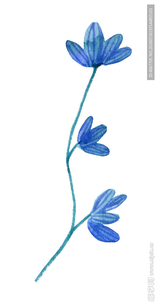 蓝色手绘花卉枝条