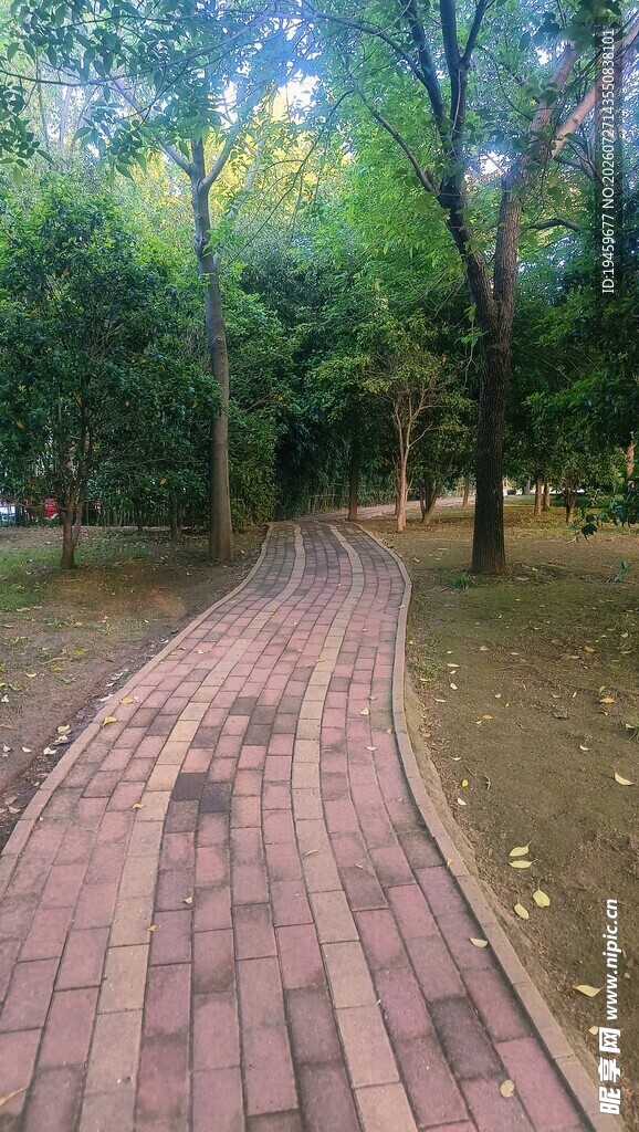 林间砖径 静谧自然之景