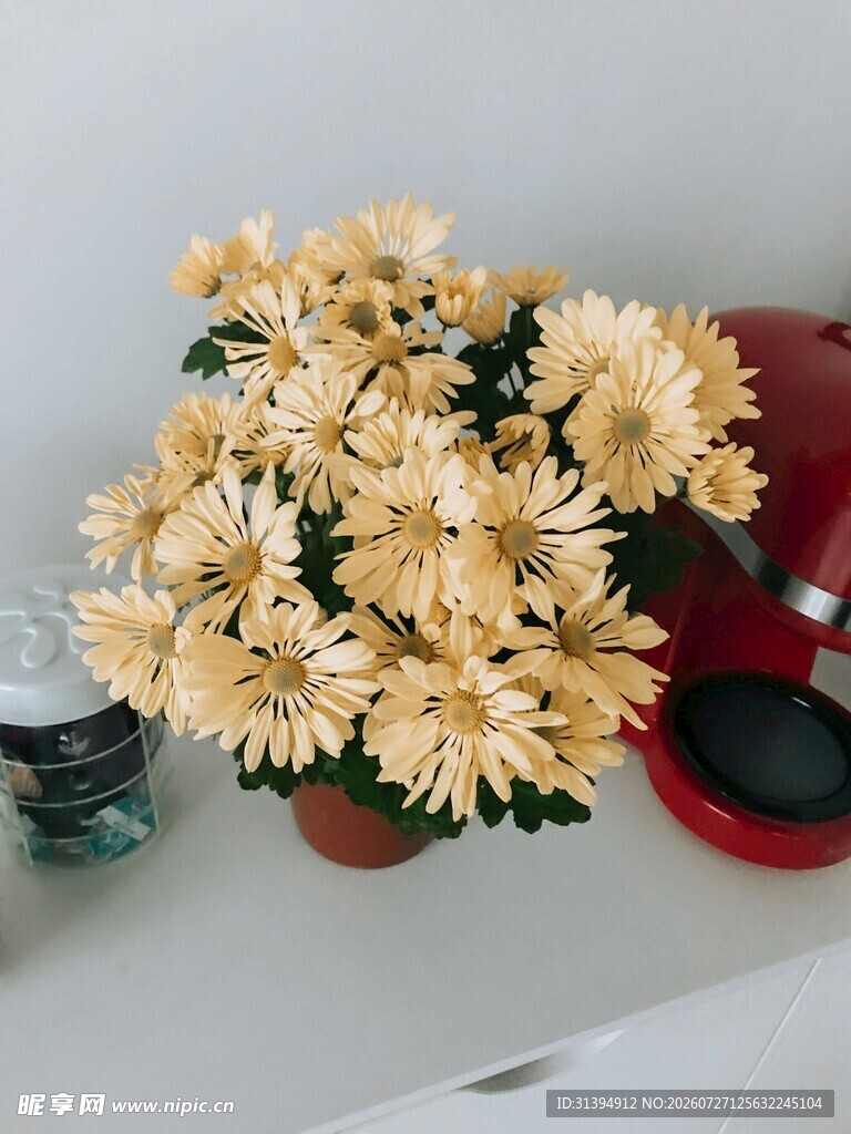 桌上绽放的黄色菊花