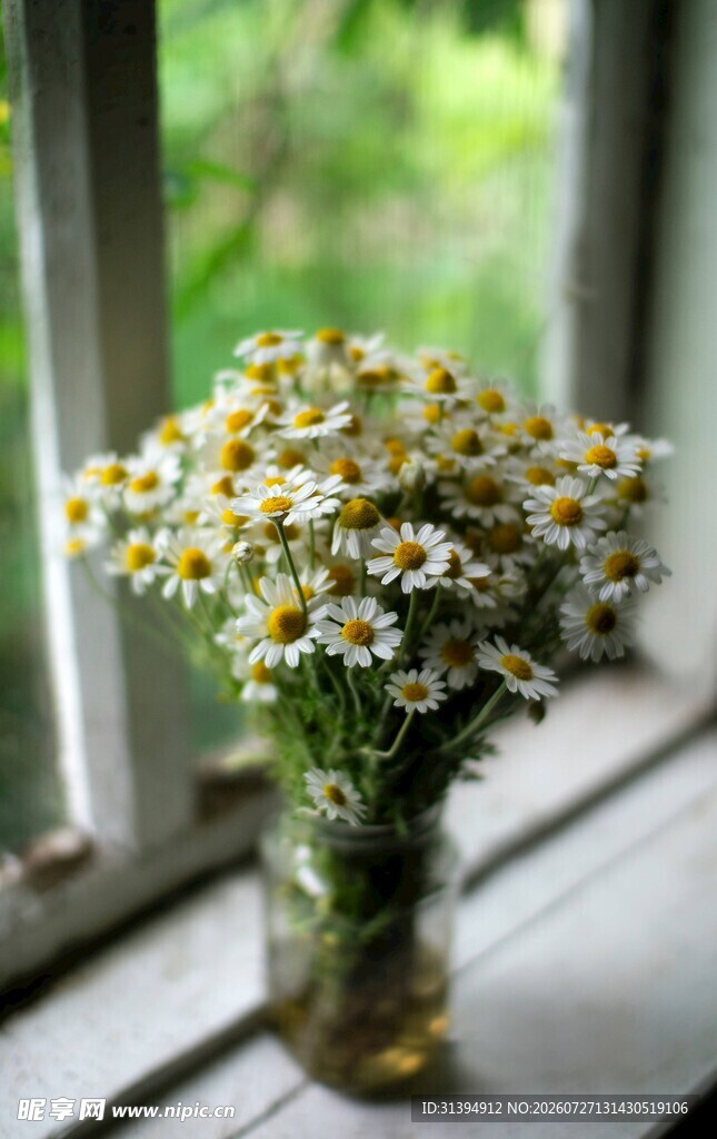 窗边花瓶中的小雏菊