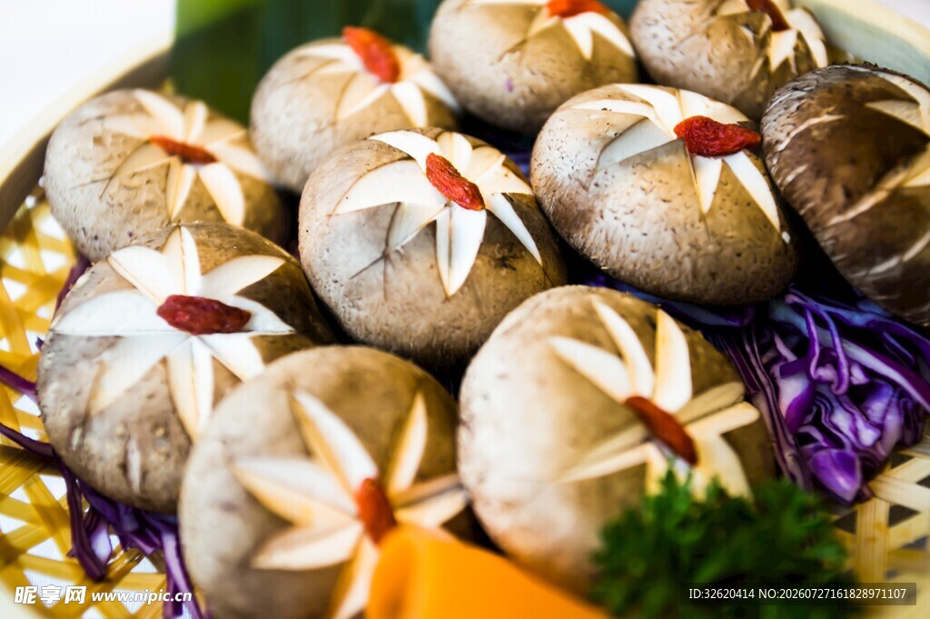 蘑菇
