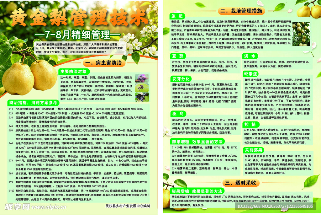 水果营养种植知识宣传页