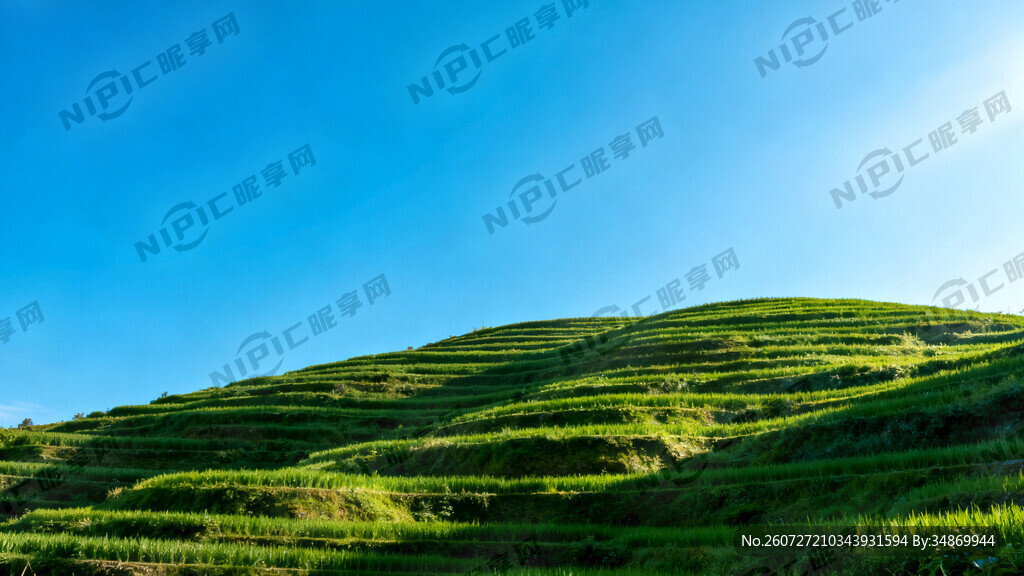 青色梯田 带蓝天