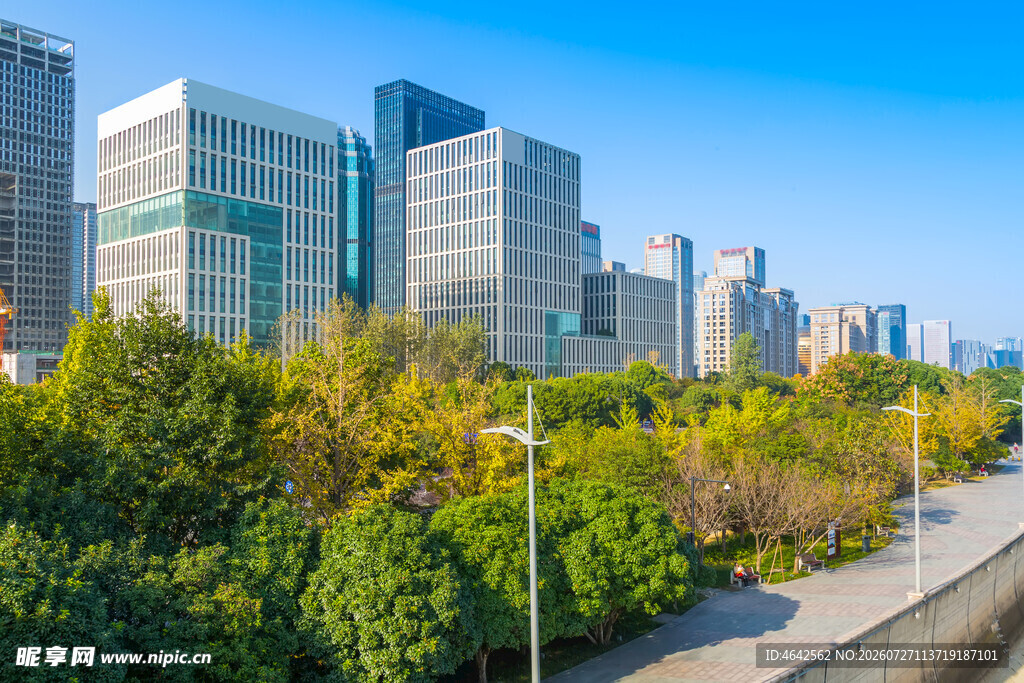 城市绿荫旁的现代高楼景观