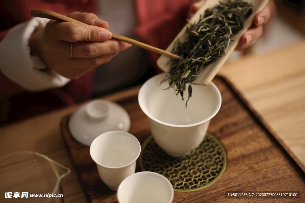 白茶 福鼎 礼盒 白毫银针 寿