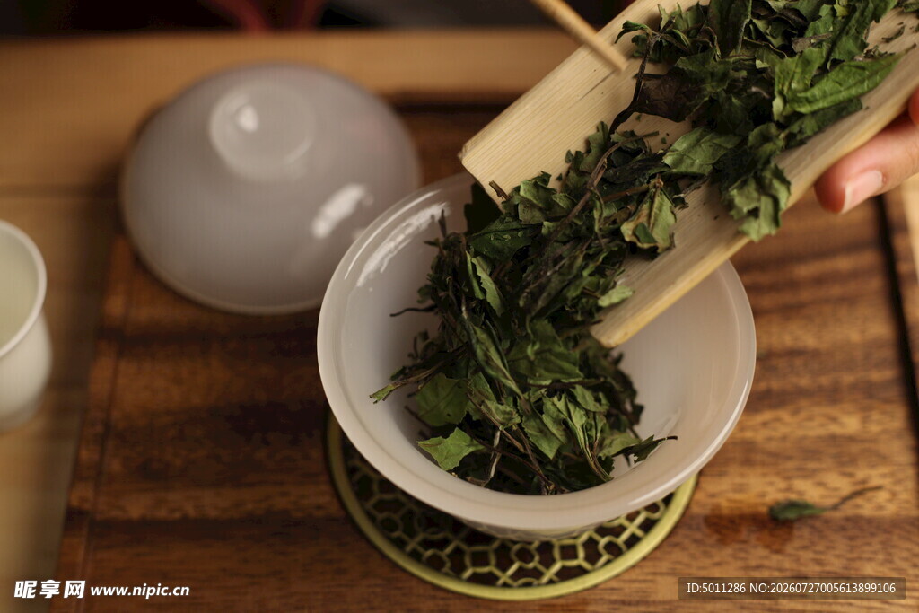 白茶 福鼎 