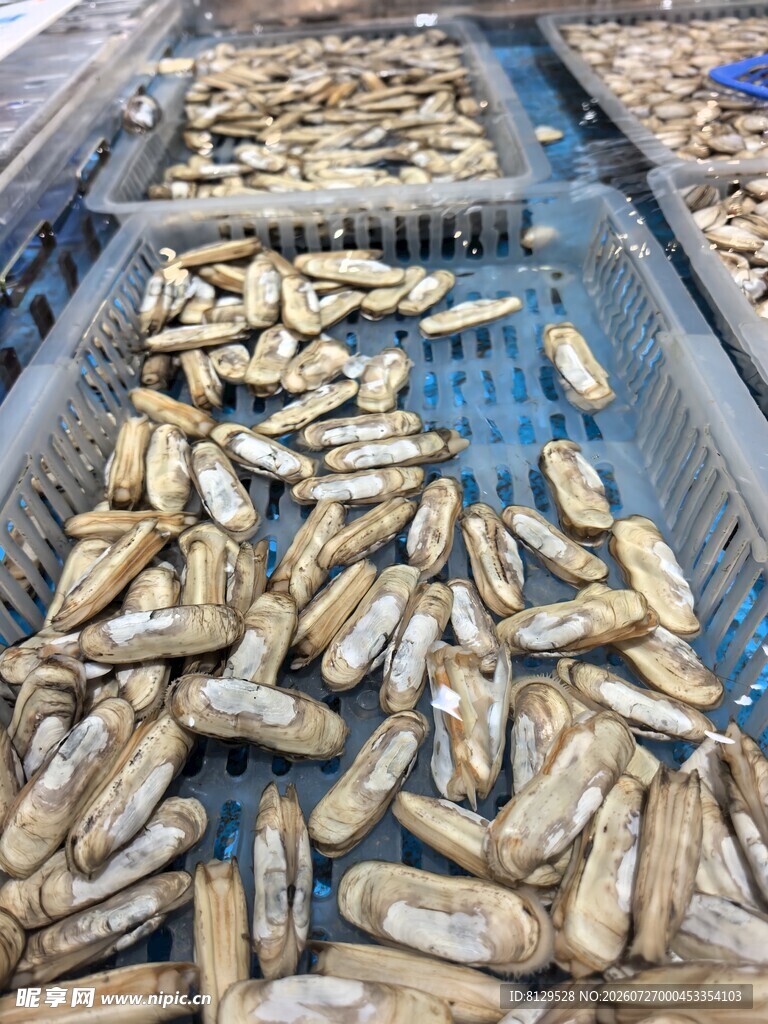 海鲜贝类