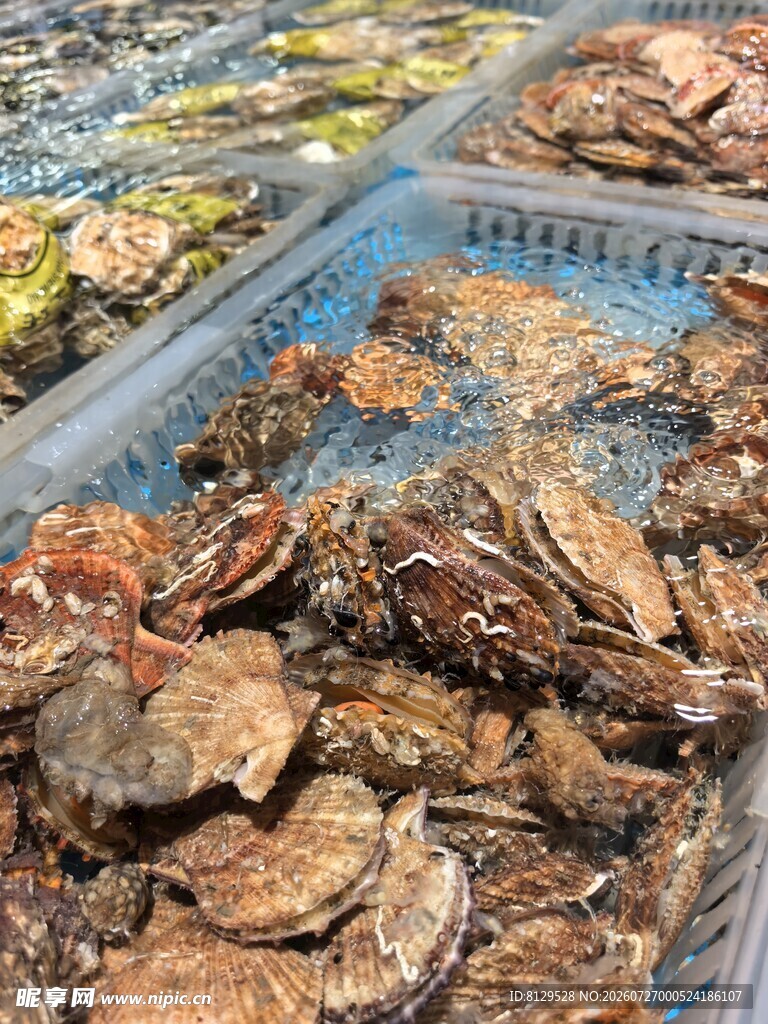 海鲜扇贝