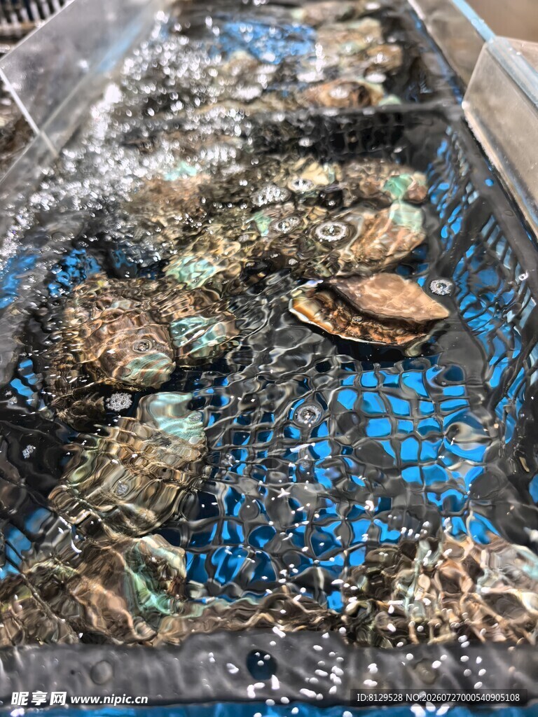 海鲜养殖槽