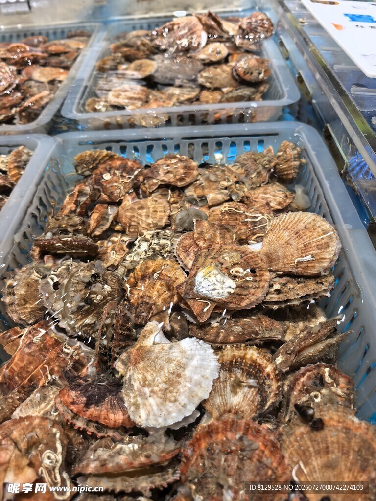 海鲜扇贝