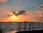 夕阳下波光粼粼的水面景色