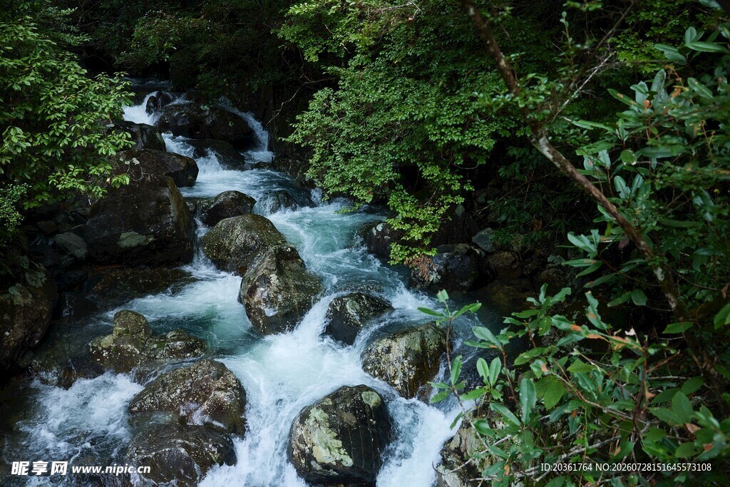 山间溪流潺潺流淌