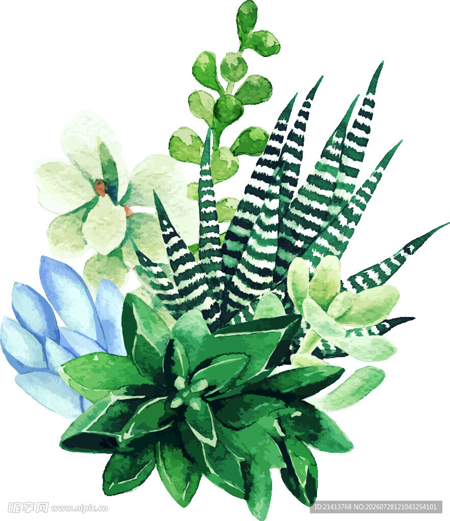 水彩绘绿植花卉组合