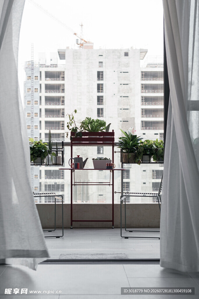 透过窗帘看阳台绿植景观