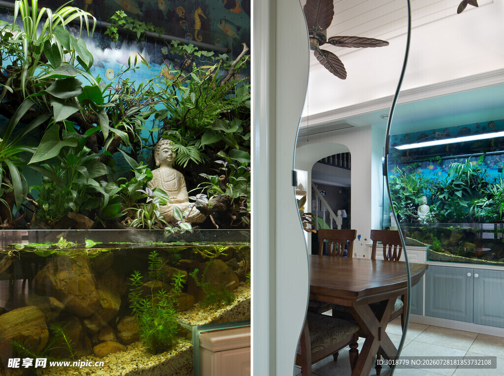 室内水族景观与家居布置