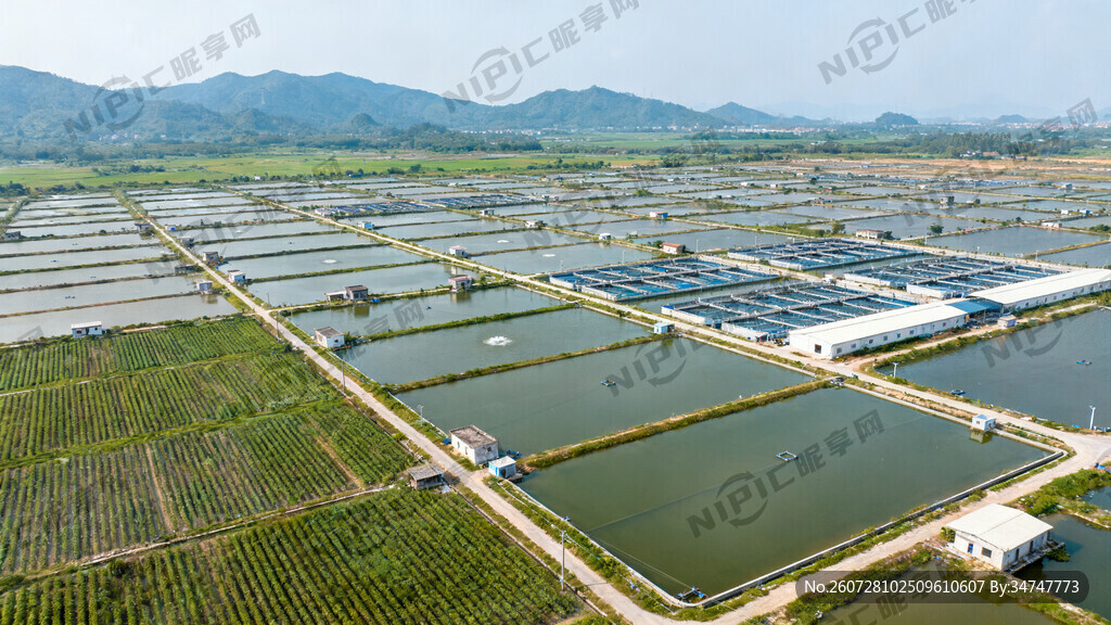 这是一张航拍视角下的现代化渔农