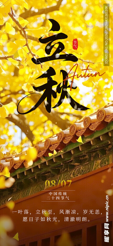 秋日立秋景象