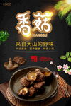 深山美味香菇海报
