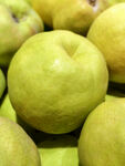 新疆香梨特写堆叠图片