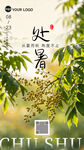 处暑时节绿意盎然景象