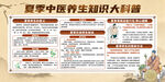 中医夏季养生宣传栏海报