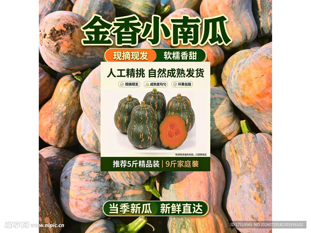 金香南瓜