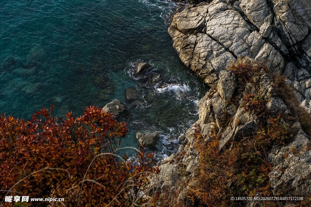 海岸边嶙峋岩石与斑斓秋色
