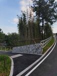 蜿蜒林间的柏油骑行道路