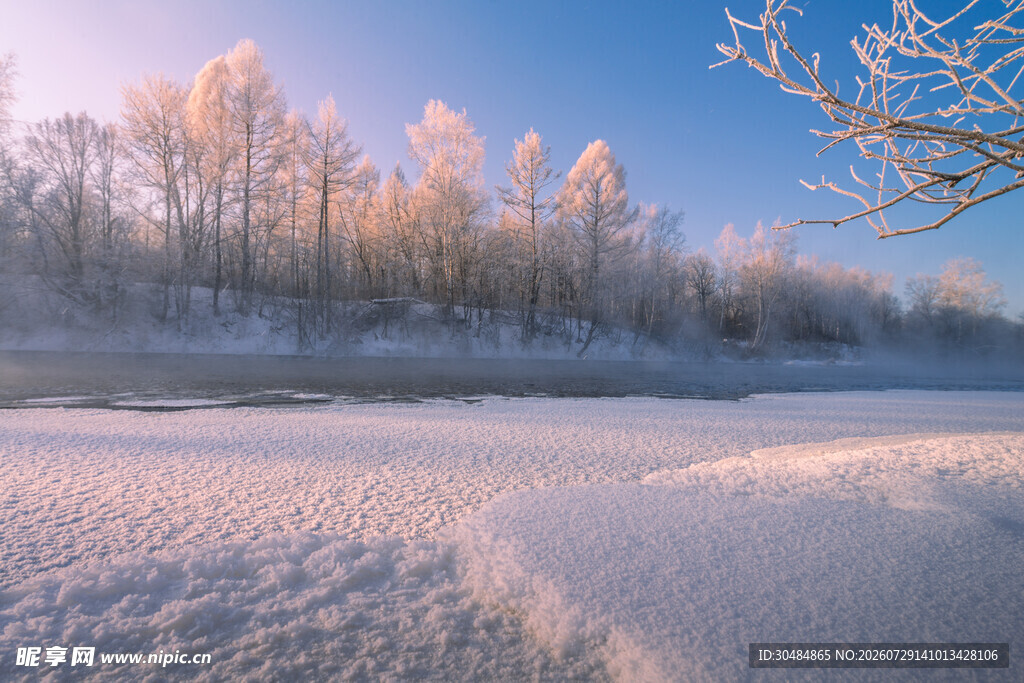 冬日雪林晨光美景