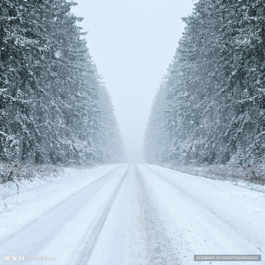 雪覆林间路