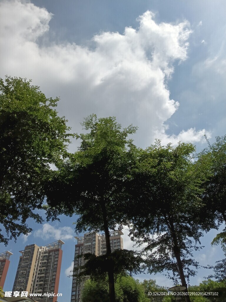 绿树蓝天间的城市景致