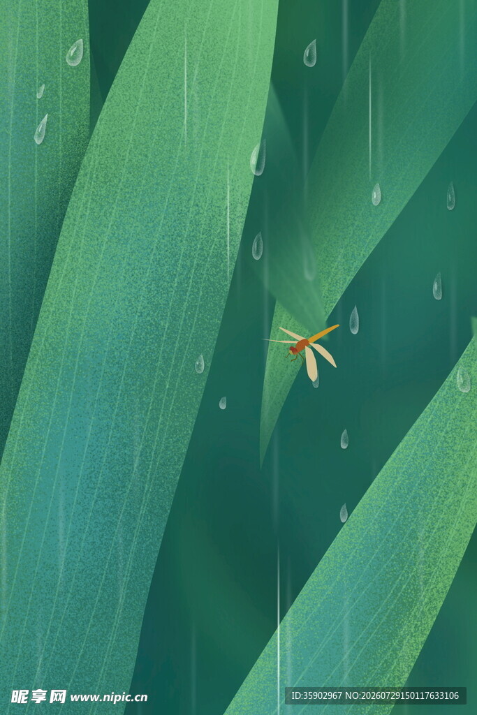 绿叶间的蜻蜓