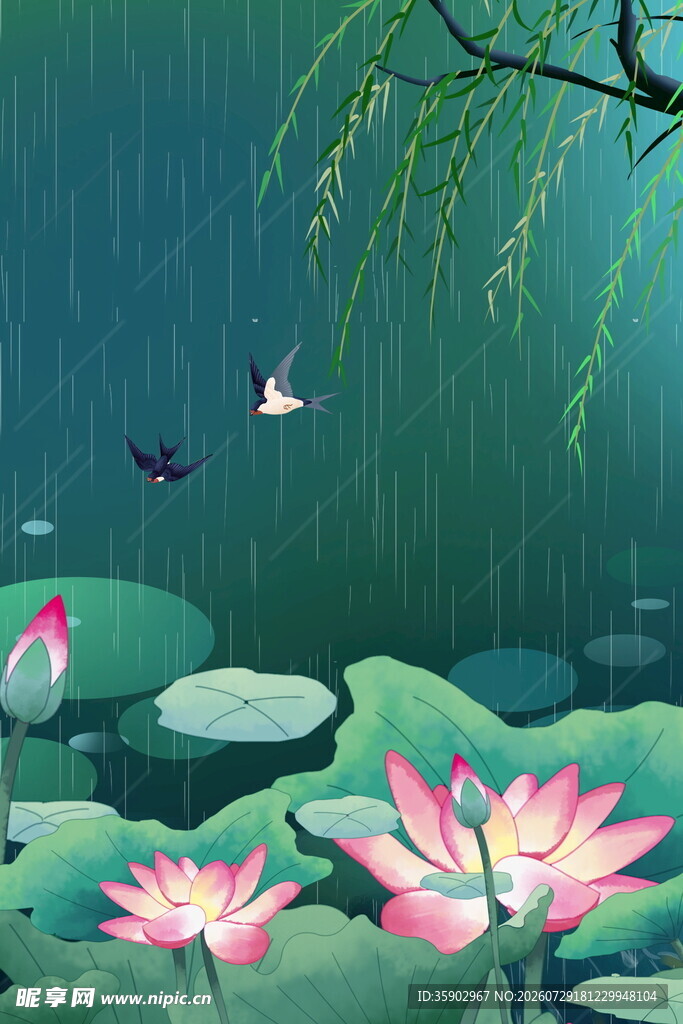 雨中荷塘美景