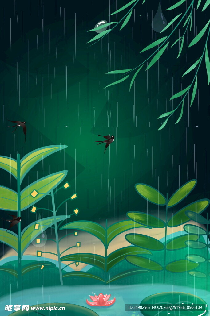 雨中荷塘的清新自然景象