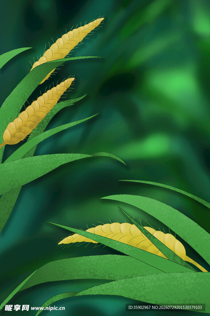 金黄穗状植物与绿叶特写