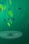 雨中绿叶与涟漪的静谧画面
