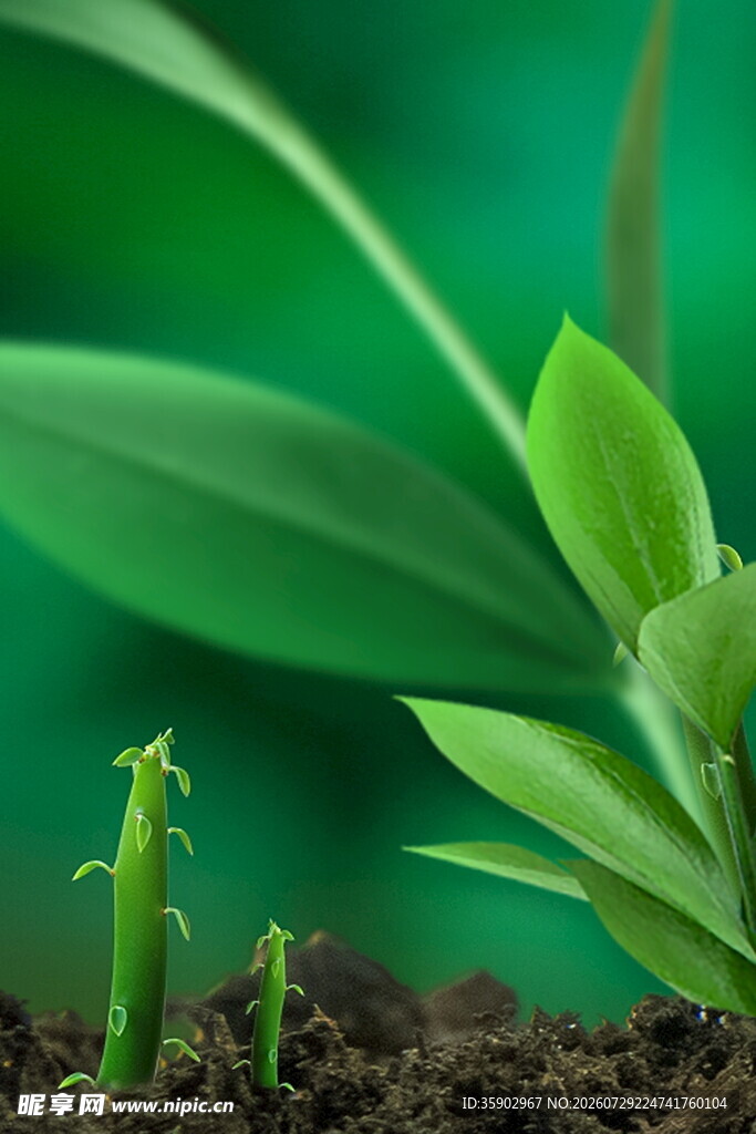 嫩绿植物旁的小螳螂