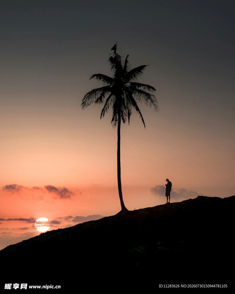 夕阳下的孤树与远方人影