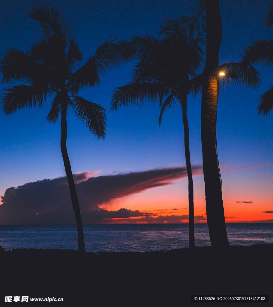 海边椰树夕阳美景