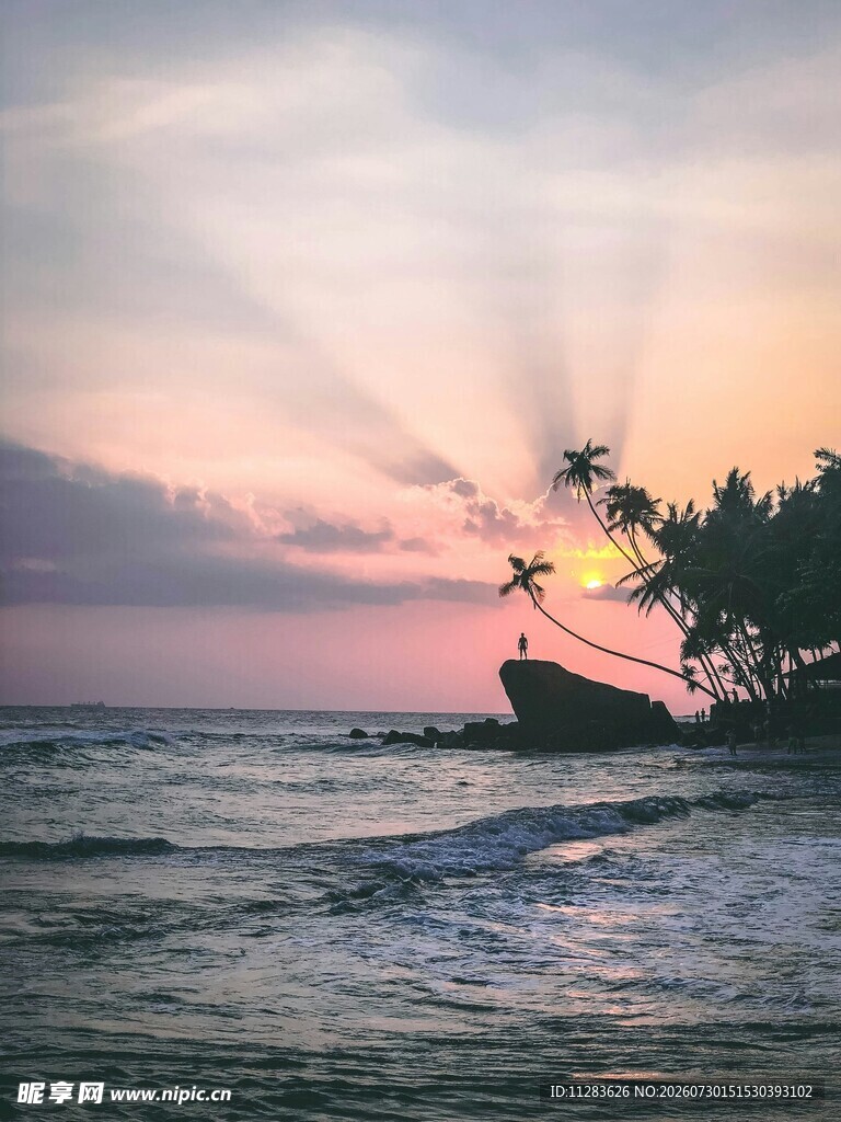 海边日落美景椰树映余晖