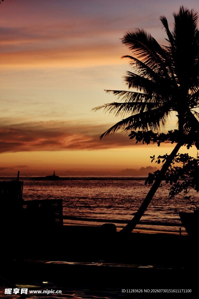 夕阳下的海边椰树美景