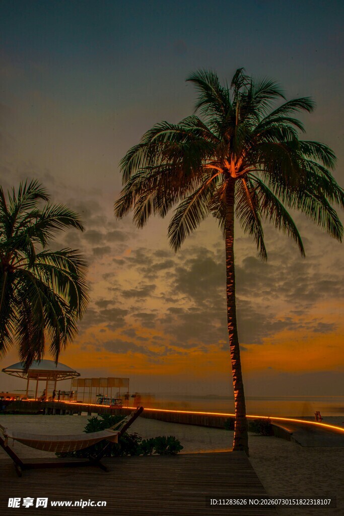 夕阳下的海滩与棕榈树