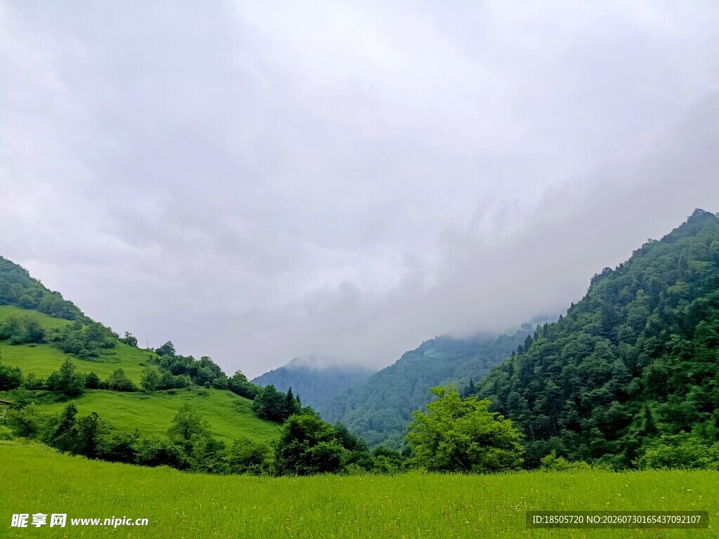 山间绿野美景