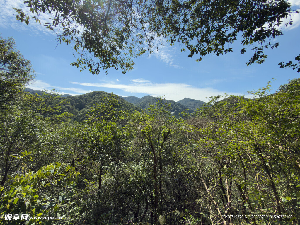 山林葱郁间的自然景致