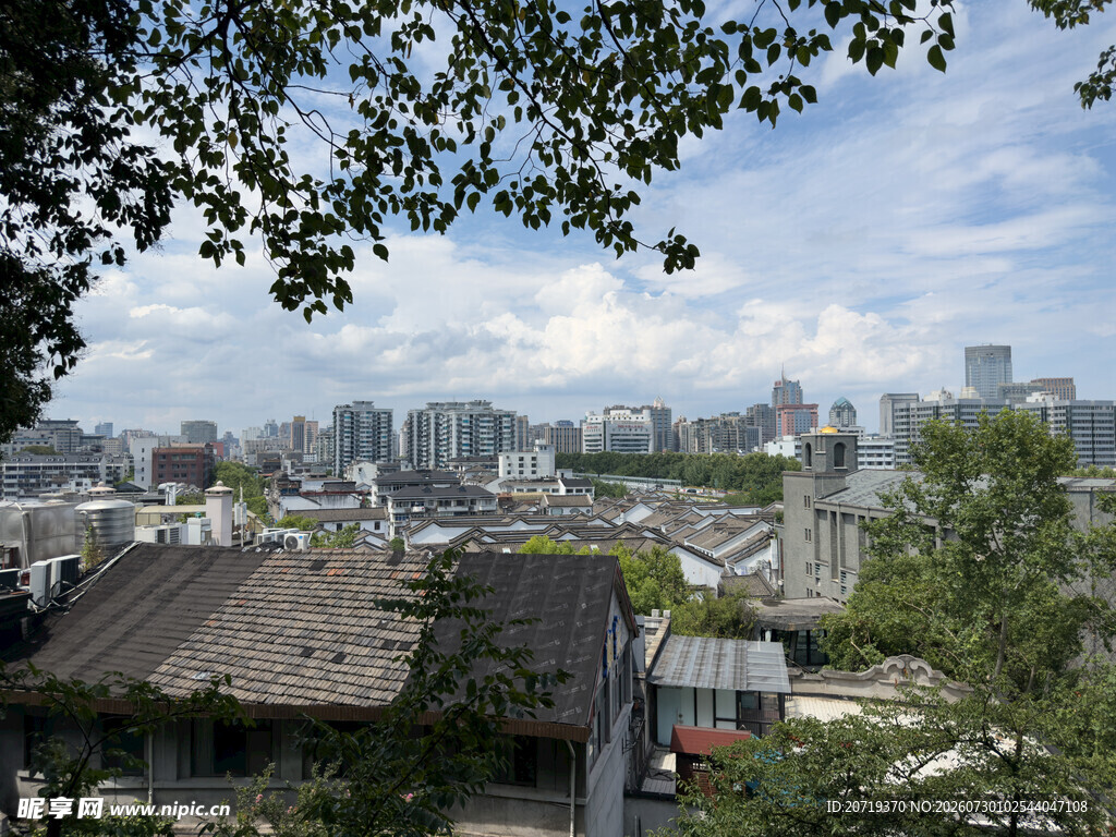 城市风景与绿树相映成趣