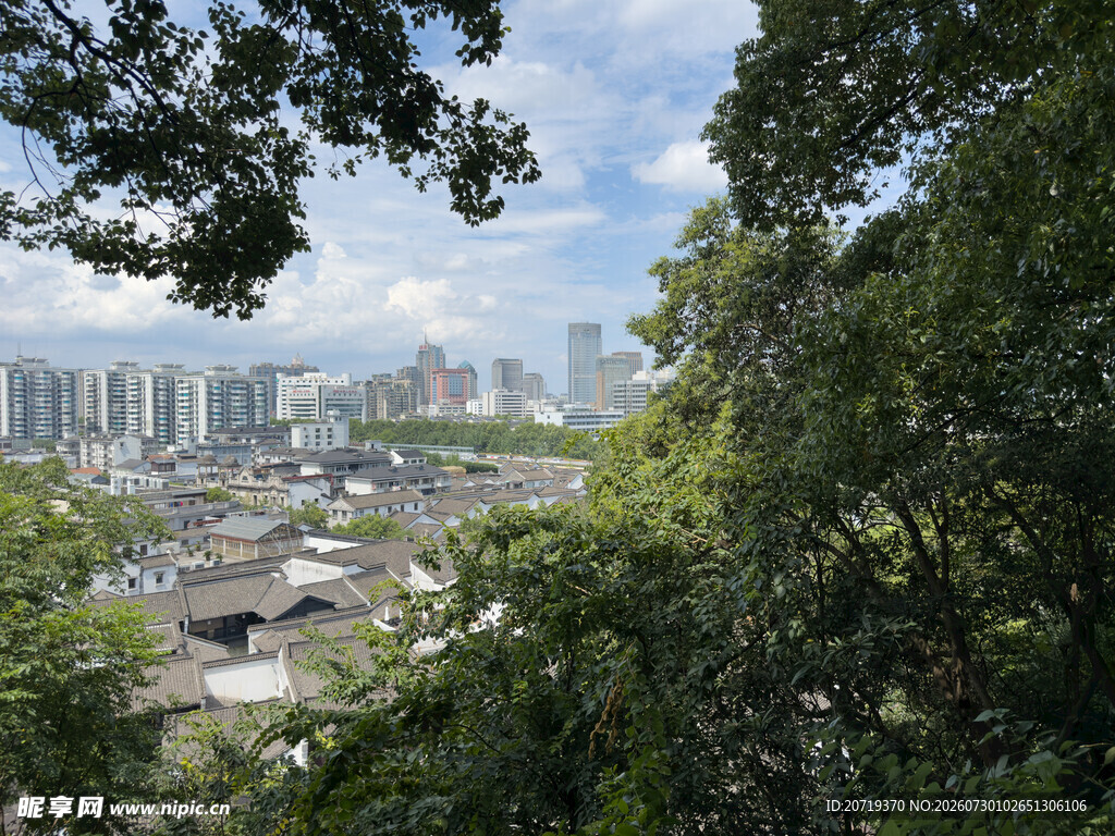 林间远眺城市风光