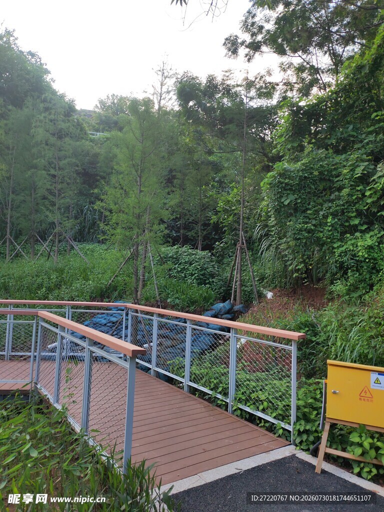 公园中的木质步道景观